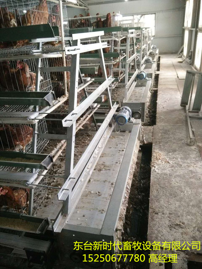 新時(shí)代層疊式四層蛋雞籠廠家直銷*自動(dòng)化養(yǎng)殖設(shè)備農(nóng)用高端養(yǎng)雞自動(dòng)撿蛋機(jī) 雞場(chǎng)集蛋機(jī) 全自動(dòng)撿蛋機(jī)