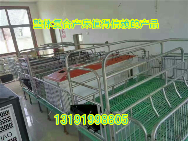 現(xiàn)代化養(yǎng)豬設(shè)備加重雙體母豬產(chǎn)床