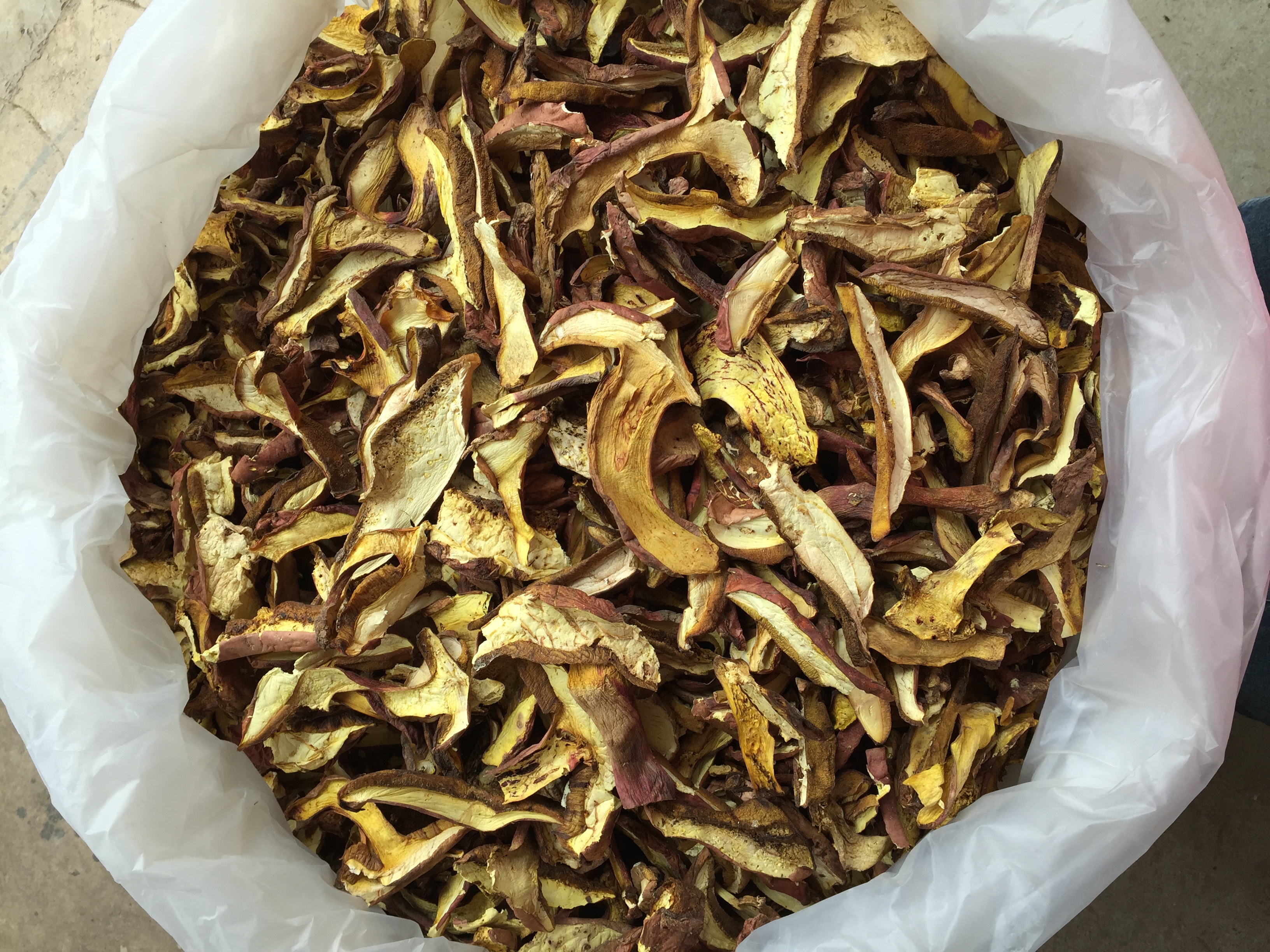 云南紅蔥菌 紅蔥菌批發(fā) 紅蔥菌報(bào)價(jià) 紅蔥菌供應(yīng)商 紅蔥菌哪里好