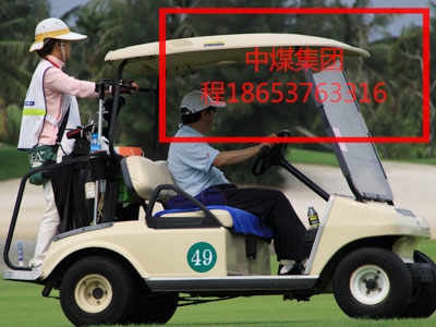 電動高爾夫電動高爾夫球車廠家  新能源高爾夫球車價格  高爾夫球場電動車球車廠家