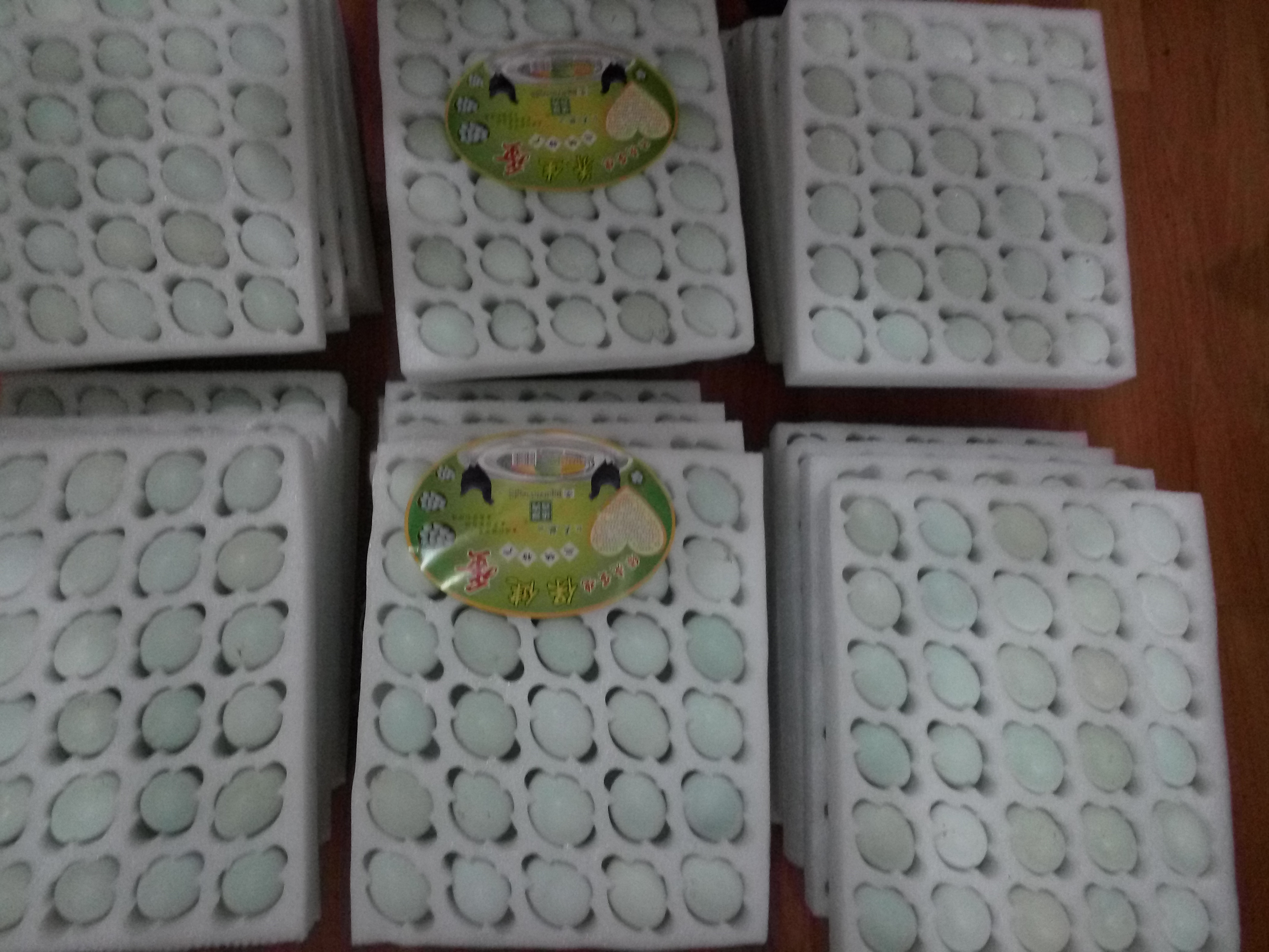 供應綠殼蛋雞種蛋、受精蛋