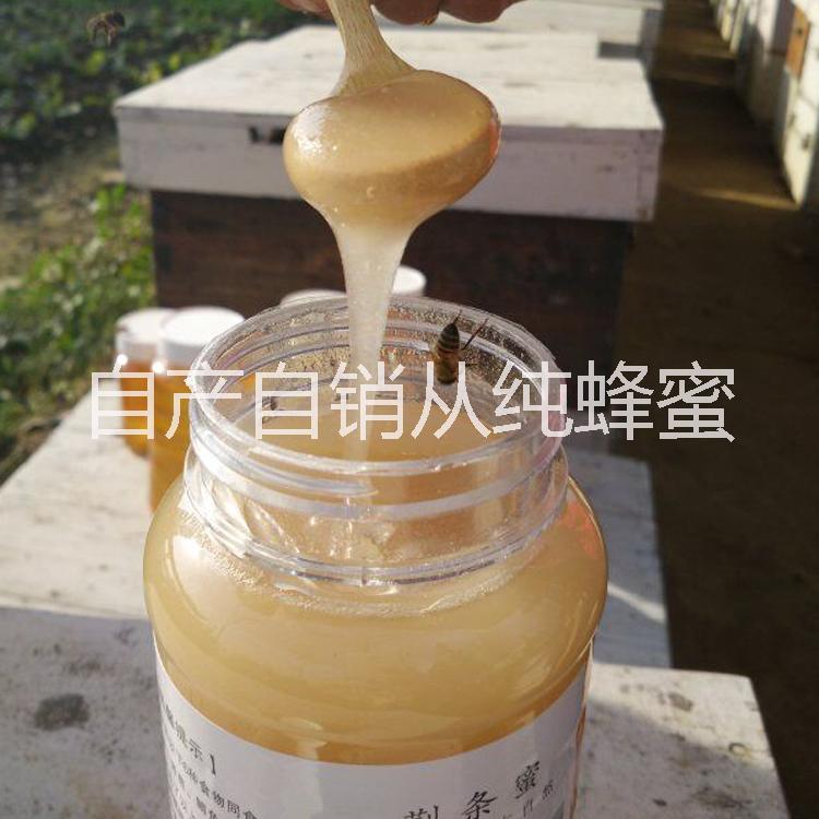 農家自產自銷純蜂蜜 荊條蜜 原生態(tài) 零添加 1000g 包郵