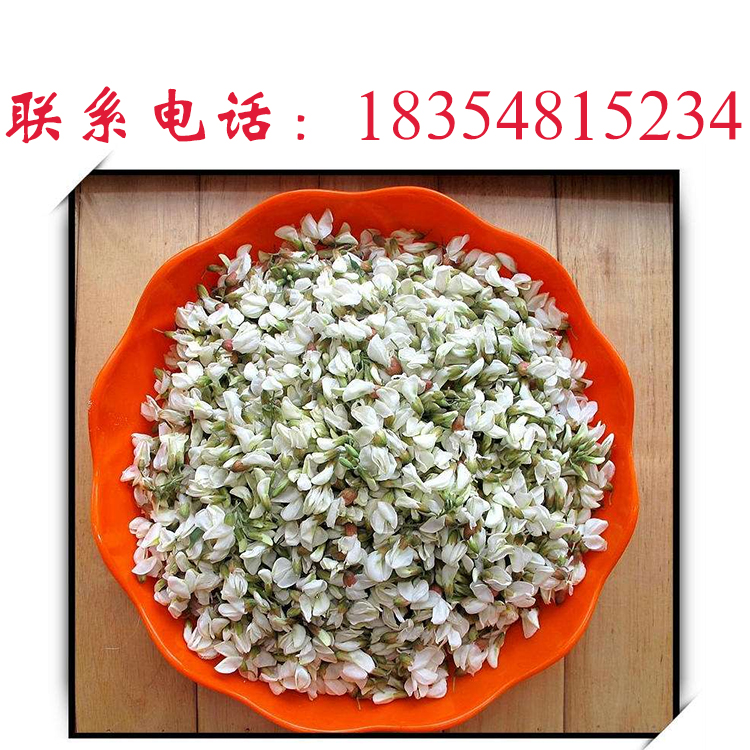 山東洋槐花直銷(xiāo)基地， 藥用型洋槐花批發(fā)價(jià)，洋槐花批發(fā)電話(huà) 槐花基地