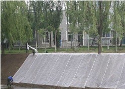 3.2米農(nóng)用無(wú)紡布廠家供應(yīng)