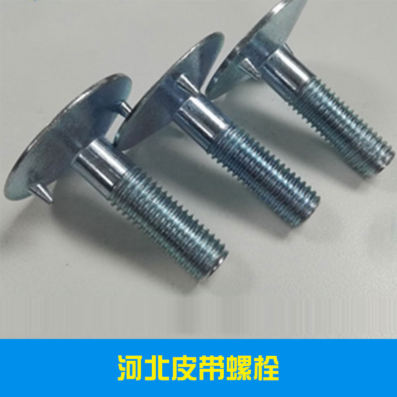 河北皮帶螺栓出售專(zhuān)業(yè)制造商 永年高強(qiáng)度皮帶螺栓制造廠家報(bào)價(jià) 量大優(yōu)惠