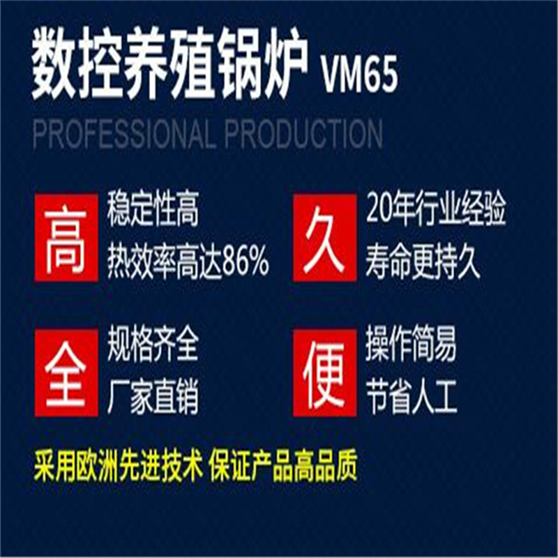 青島沃利瑪 VM45型采暖鍋爐 全自動數(shù)控鍋爐|生物質(zhì)鍋爐|節(jié)能環(huán)保鍋爐|智能鍋爐|燃煤鍋爐|家用采暖爐|立式鍋爐