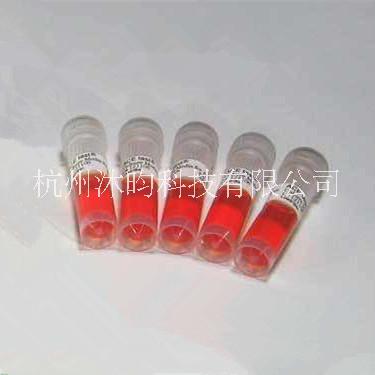 伽馬線輻射*生物指示劑ATCC27142