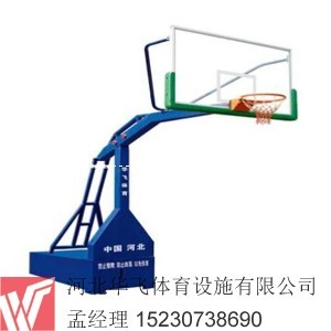 籃球架專賣 各式籃球架 樣品齊全 明碼標(biāo)價(jià)籃球架 籃球架廠家直銷