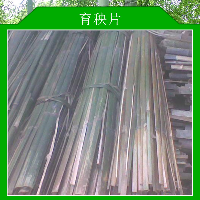 育秧片抗拉抗壓抗彎強(qiáng)度好供應(yīng)大量育秧片價(jià)格實(shí)惠育秧片廠家批發(fā)