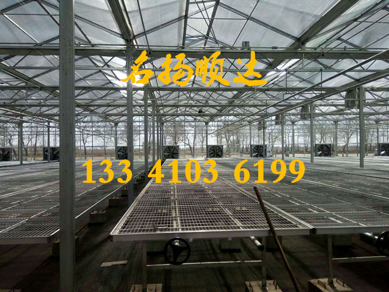 北京溫室大棚 北京溫室大棚、大棚溫室、春秋大棚