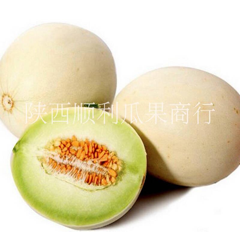供應(yīng)陜西白皮香瓜甜瓜批發(fā)基地