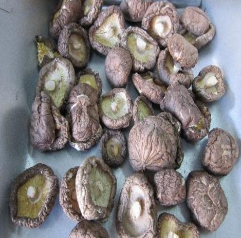 七景山種植基地二級香菇供應(yīng)二級香菇批發(fā)價格每件500克裝