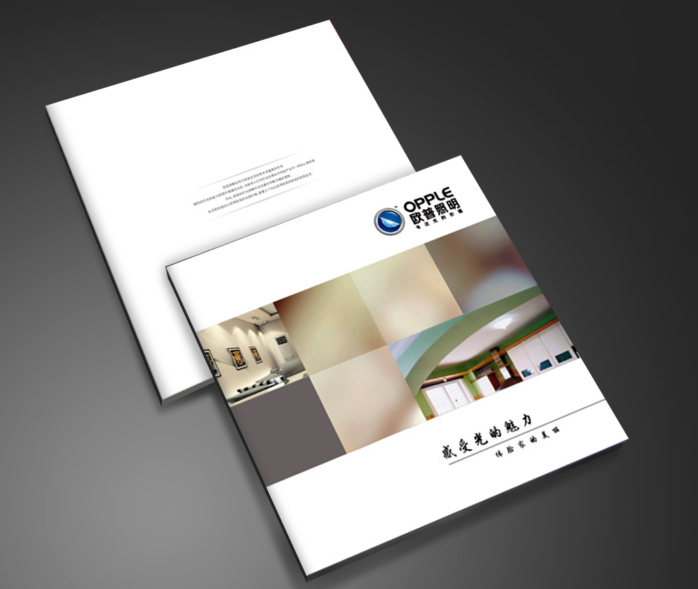 公明電子行業(yè)畫冊印刷 公明電子行 公明畫冊印刷  公明畫冊印刷 畫冊設計