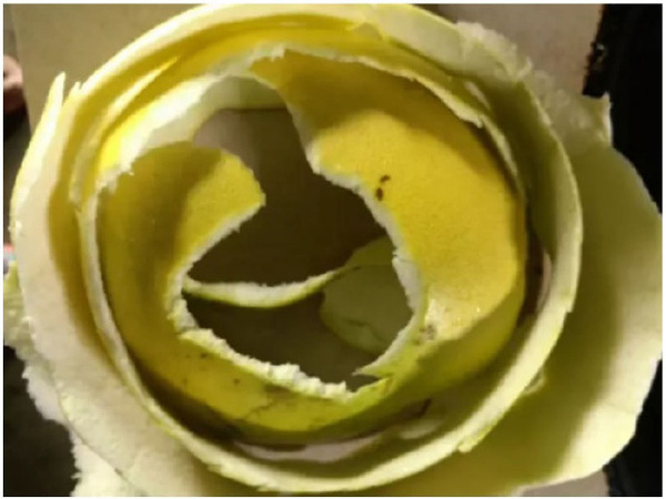 鄭州除甲醛專業(yè)公司,除甲醛專業(yè),除甲醛專業(yè)公司,除甲醛