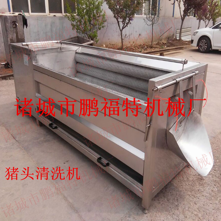 鵬福特毛刷清洗機(jī) 豬頭豬蹄清洗機(jī)1