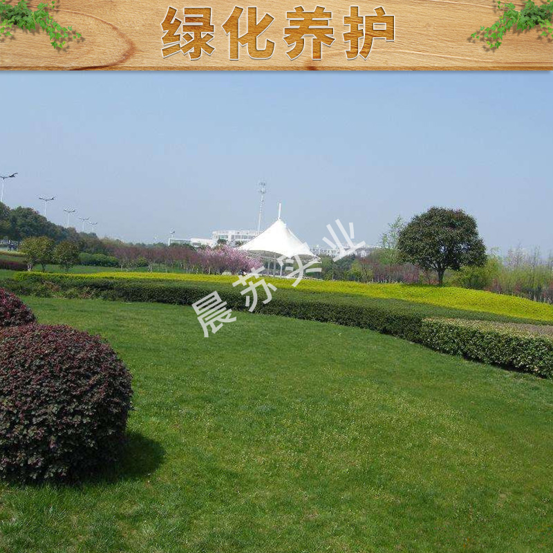 供應上海綠化養(yǎng)護,上海廠區(qū)綠化養(yǎng)護