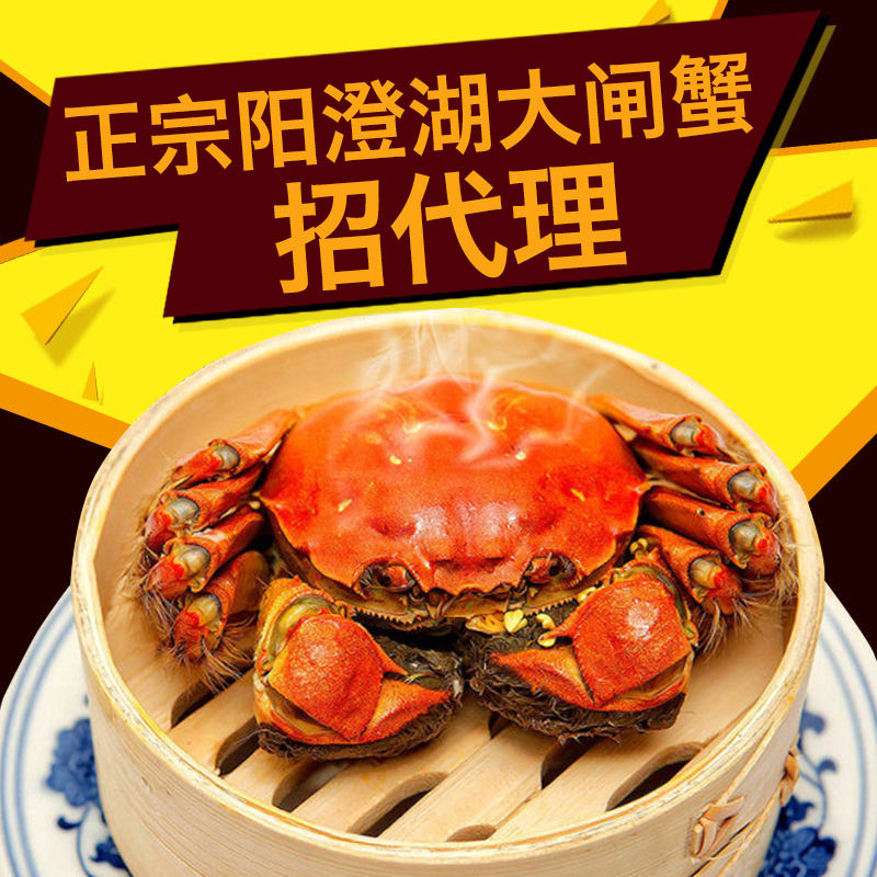 陽澄湖大閘蟹 好蟹匯陽澄湖大閘蟹
