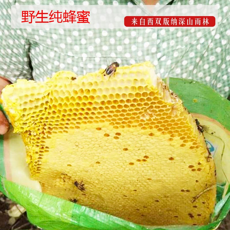 深山百花蜜天然*農(nóng)家土蜂蜜原生態(tài)蜜糖400g/瓶