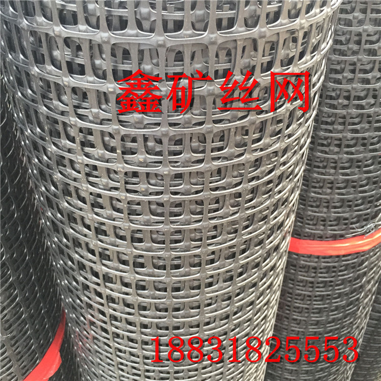 工廠(chǎng)直銷(xiāo)塑料格柵網(wǎng)、塑料養(yǎng)殖網(wǎng)、黑色塑料方格網(wǎng)，土工格柵網(wǎng)