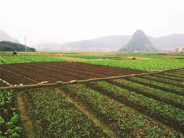 食材配送—廣東好來(lái)客餐飲集團(tuán)