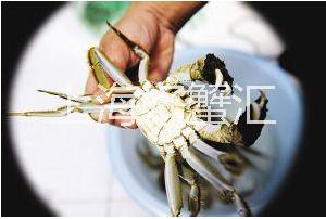 平生只求陽澄湖，鐘愛一生大閘蟹