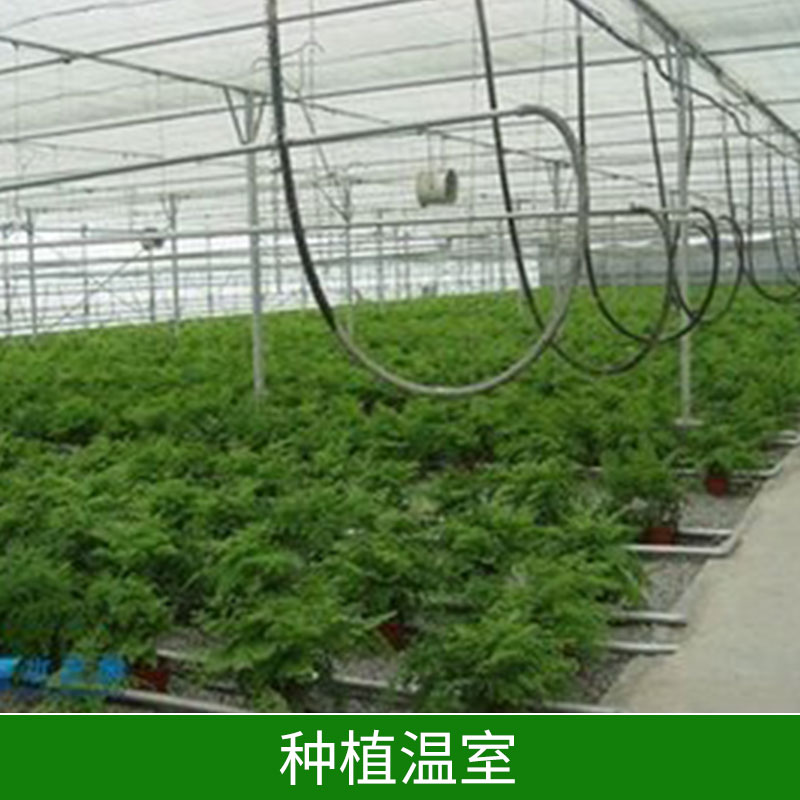 種植溫室∣花卉種植溫室∣種植溫室大棚-邯鄲市鑫凱農(nóng)業(yè)科技有限公司