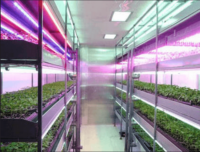 廠家供應(yīng)新款【2835貼片led燈珠-白光/彩光】參數(shù)-圖片