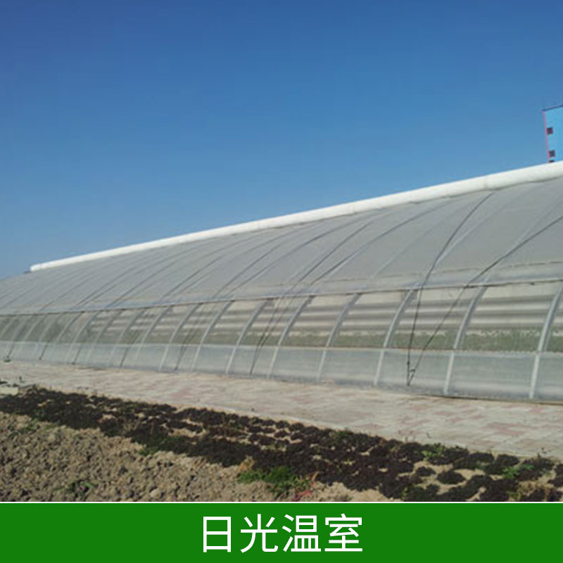 日光溫室∣日光溫室大棚∣日光溫室建設(shè)-邯鄲鑫凱農(nóng)業(yè)科技有限公司