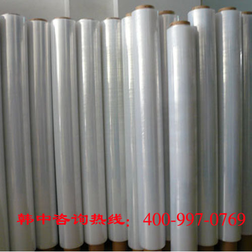 保護(hù)膜廠家供應(yīng)高吸附 保護(hù)膜廠家供應(yīng)高吸附pe靜電保護(hù)