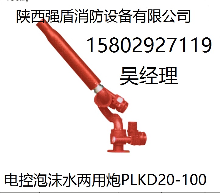 廠家直銷 電控消防水炮 PSKD電動消防水炮  全齊
