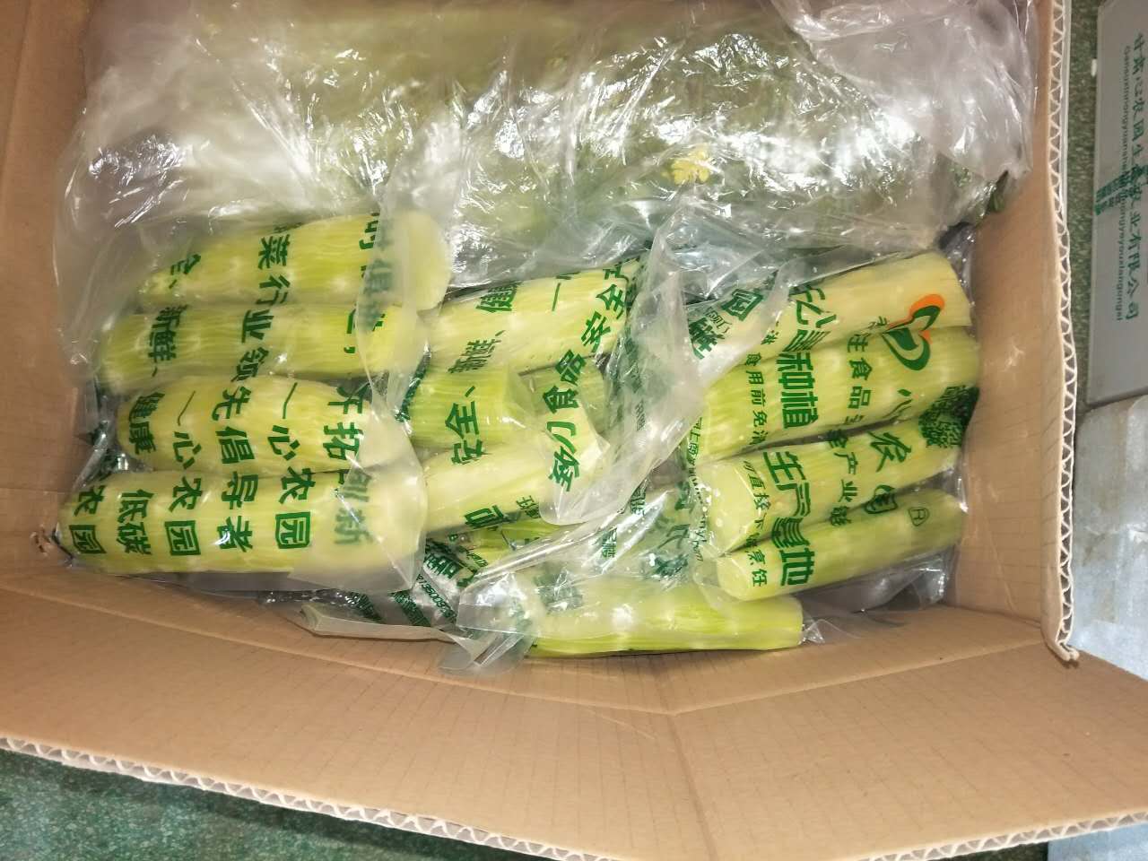 蘭州心農(nóng)園有機蔬菜水果農(nóng)副產(chǎn)品專業(yè)配送-食堂院校機關(guān)單位*