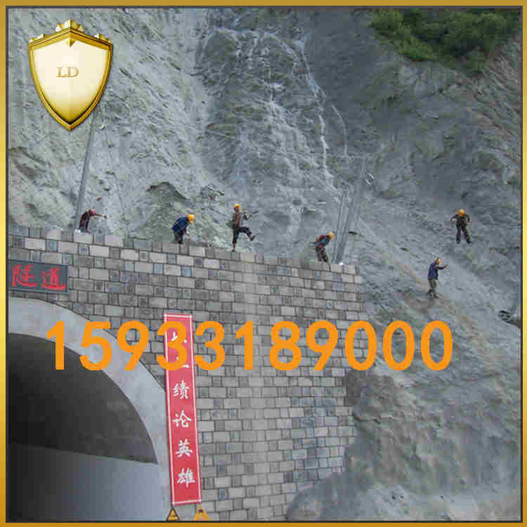 Gps2邊坡防護網(wǎng)報價 邊坡防護