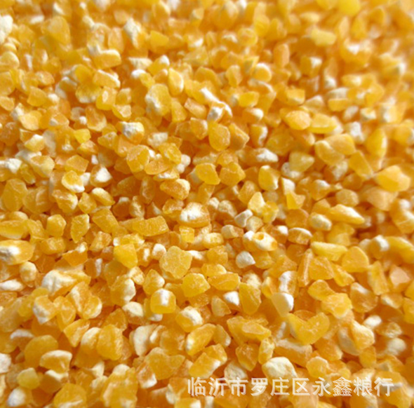 批發(fā)玉米渣 優(yōu)質大玉米渣 長期供應大玉米渣 五谷雜糧 25公斤袋 玉米渣大量出售
