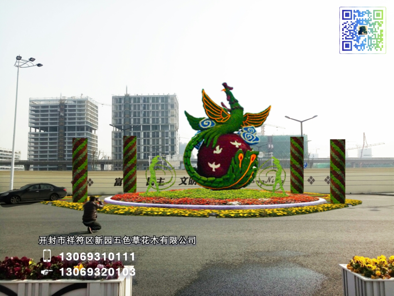 開封新園五色草造型--鳳飛九天 五色草立體造型--鳳飛九天