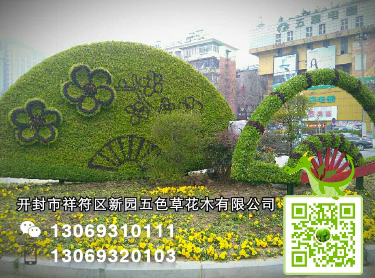 開封新園五色草造型--鳳飛九天 五色草立體造型--鳳飛九天