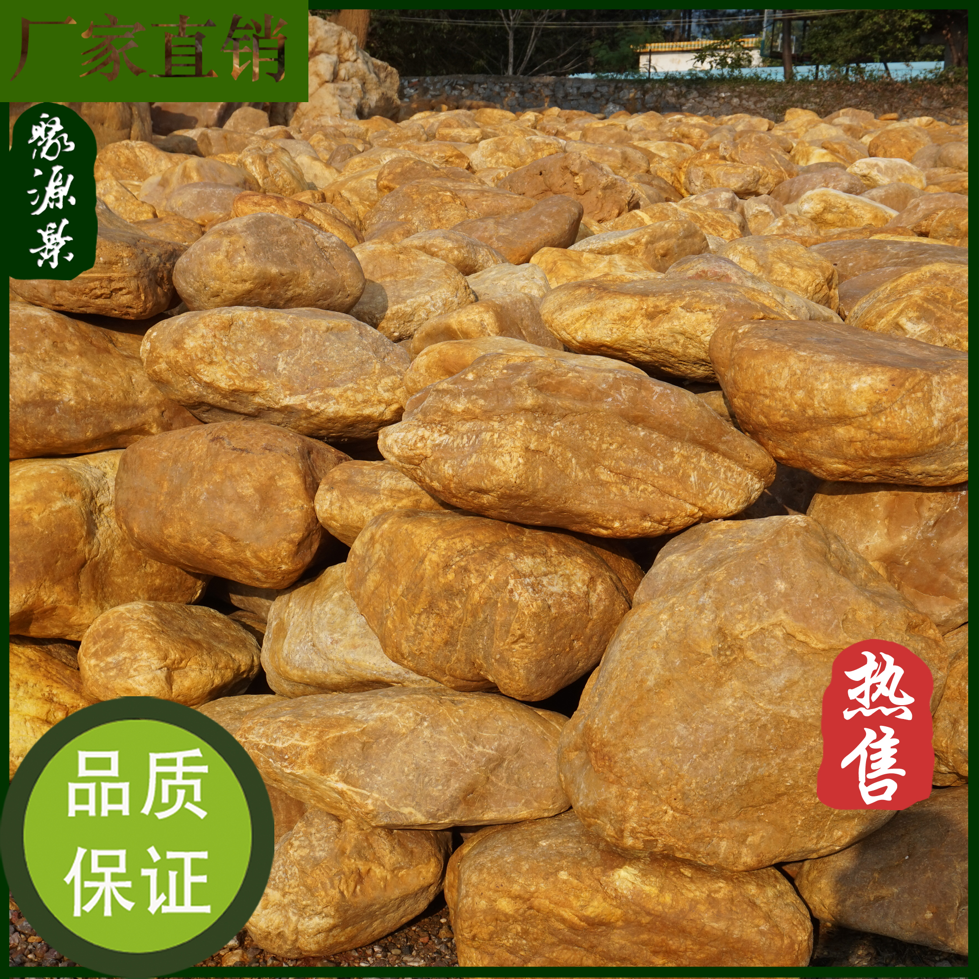 湖南大型黃蠟石 刻字黃蠟石