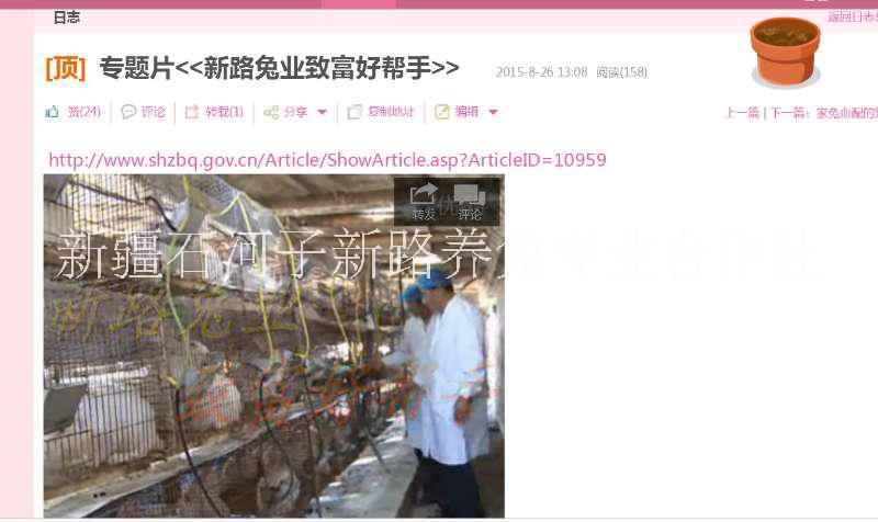 兔肉熟制品香辣手撕兔五香鹵兔新疆兔子養(yǎng)殖場(chǎng)