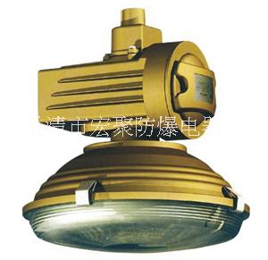 宏聚電器生產(chǎn)XQD（GTB）1105免維護(hù)節(jié) XQD1105免維護(hù)防爆無(wú)極燈