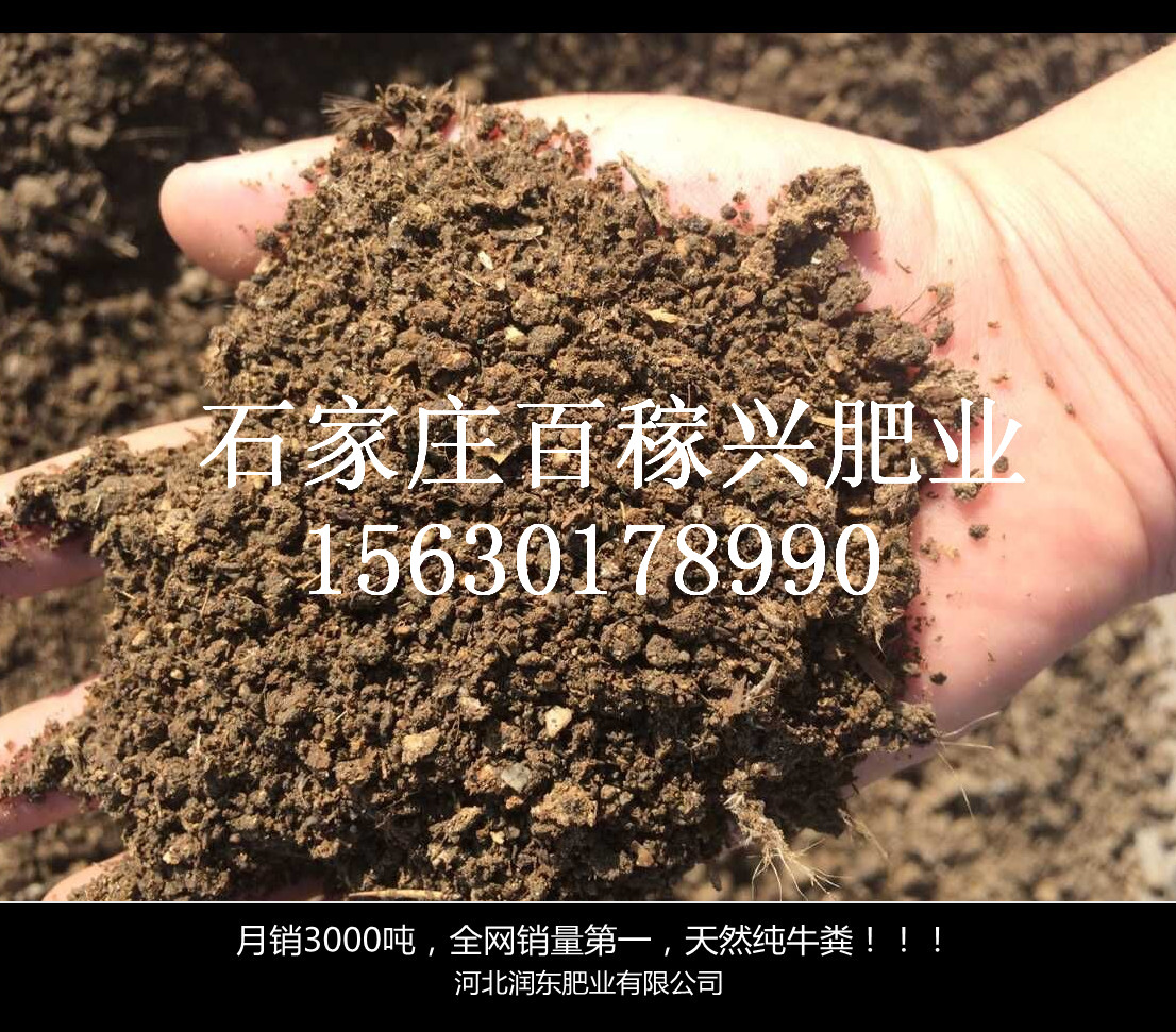 純干牛糞 發(fā)酵牛糞有機(jī)肥 蘑菇 藍(lán)莓 *底肥
