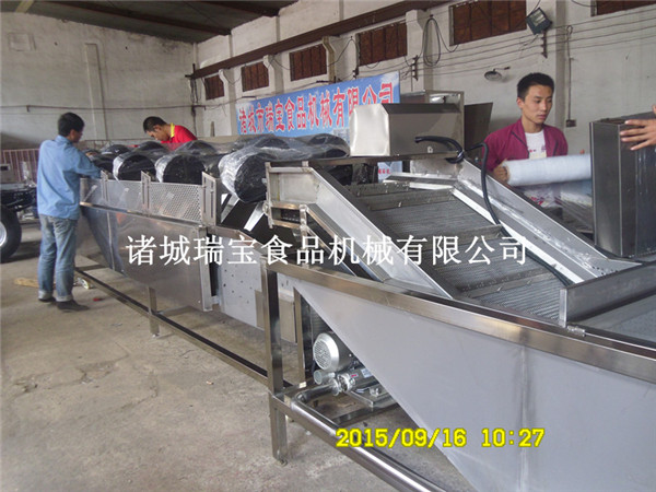 供應(yīng)瑞寶全自動(dòng)洗菜機(jī)