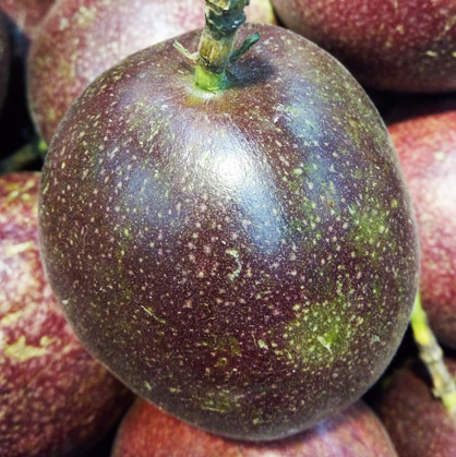 廣西百香果 越南百香果 越南進口百香果批發(fā)