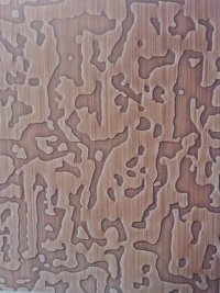 不銹鋼鍍銅板/鍍銅廠家