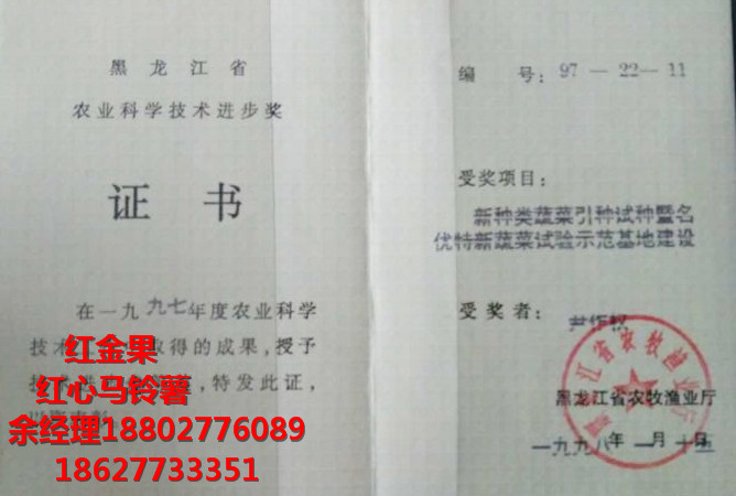 紅心馬鈴薯畝產(chǎn)多少斤 余經(jīng)理18802776089