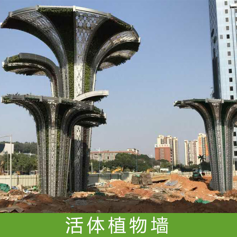植物盒式栽培墻上花園活體植物墻制作戶外垂直綠化工程綠植植物墻
