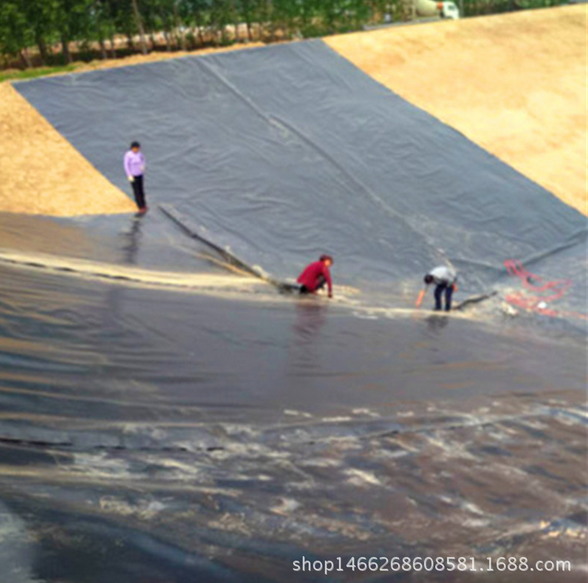 防水板現(xiàn)貨供應(yīng)防水板 隧道*防滲HDPE防水板 環(huán)保耐用高品