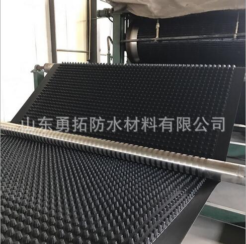 排水板地下室排水板批發(fā)凹凸塑料蓄排水板山東塑料排水板 排水板報(bào)價(jià) 山東周邊排水板