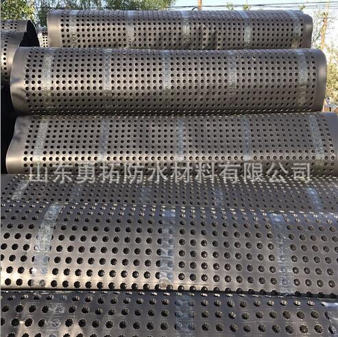 排水板地下室排水板批發(fā)凹凸塑料蓄排水板山東塑料排水板