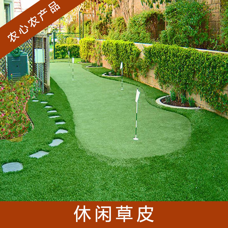 體育場(chǎng)/足球場(chǎng)/公園廣場(chǎng)綠地鋪設(shè)休閑草皮人工培育綠植草坪草皮