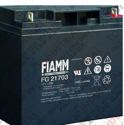 非凡蓄電池12FLB100-12