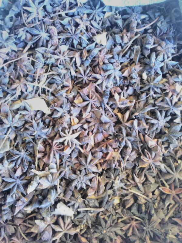 廣西批發(fā)干貨八角  八角茴香批發(fā) 八角香料經(jīng)銷商 八角批發(fā)